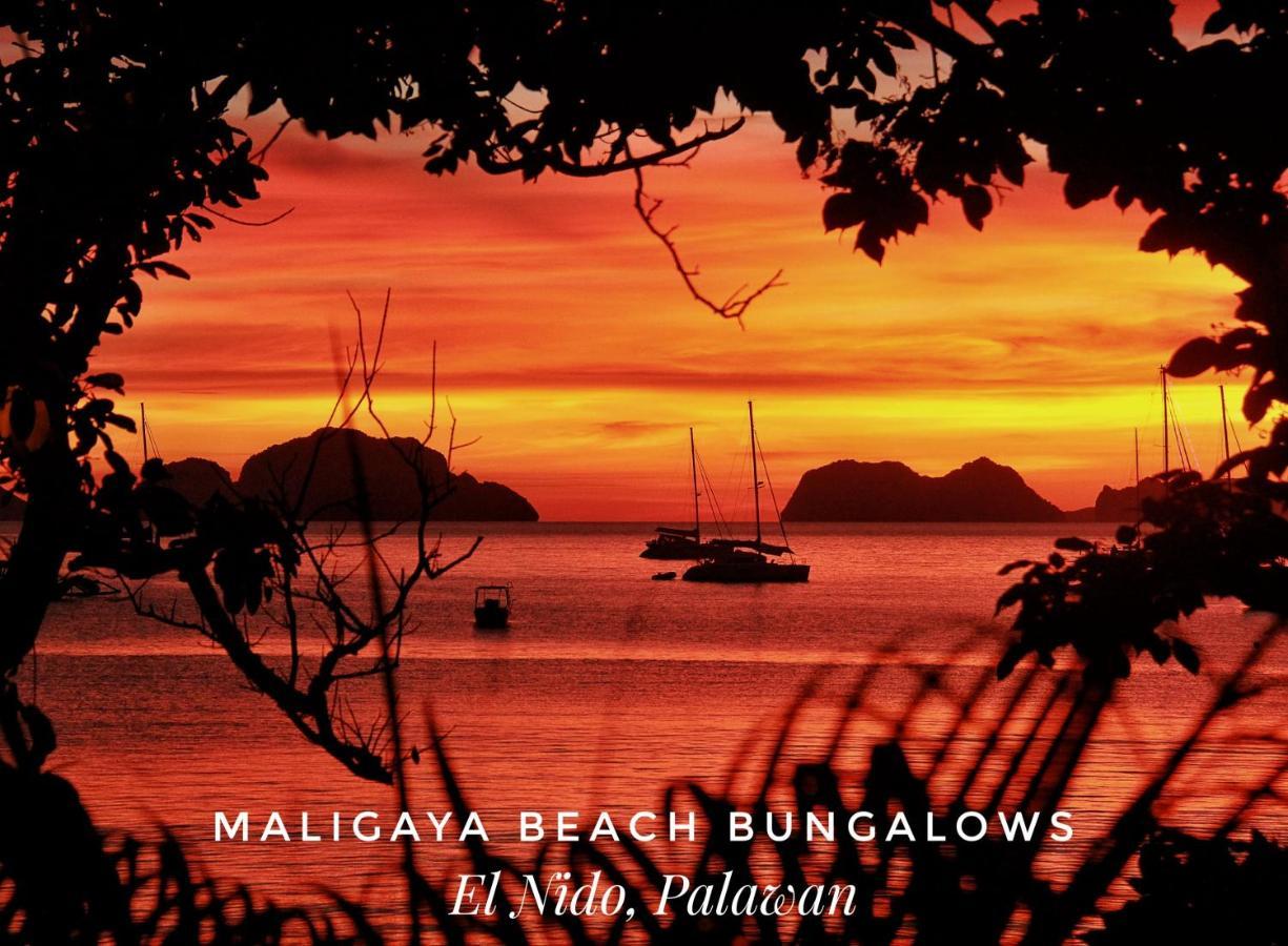 Maligaya Beach Bungalows El Nido Bagian luar foto