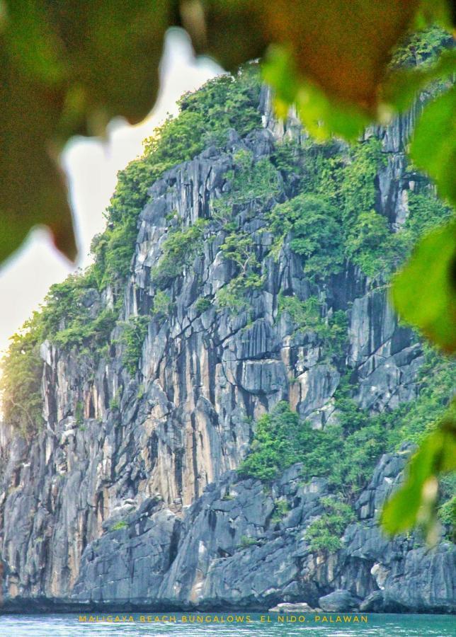 Maligaya Beach Bungalows El Nido Bagian luar foto